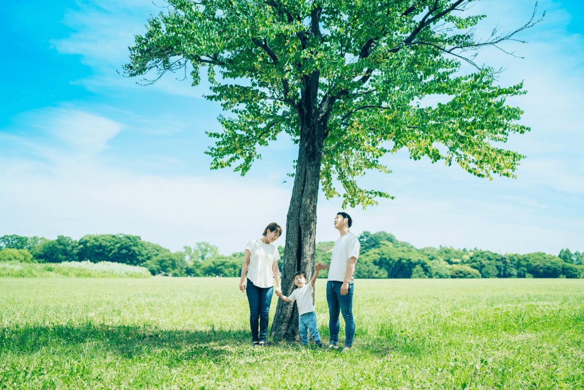 白いTシャツとジーンズを着て公園で佇む家族の画像